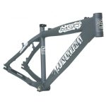 CUADRO LUNATIKA GRIS